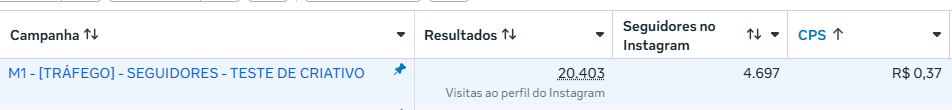 Campanha de seguidores no Instagram: 20.403 visitas e 4.697 seguidores